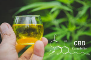 Cannabidiol CBD 