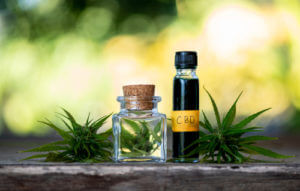 CBD For Bacterial Infections